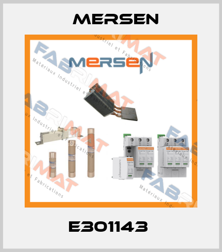 E301143  Mersen