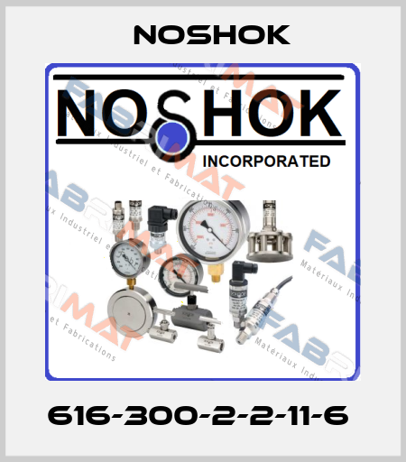 616-300-2-2-11-6  Noshok
