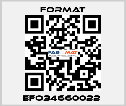 EFO34660022  Format