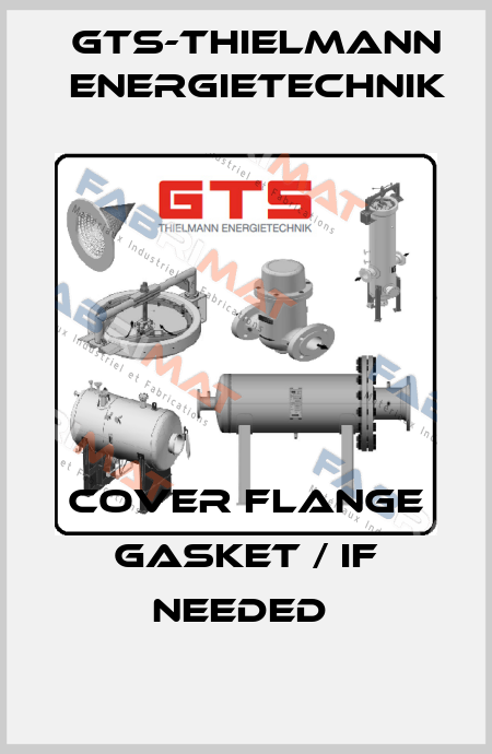Cover Flange Gasket / if needed  GTS-Thielmann Energietechnik