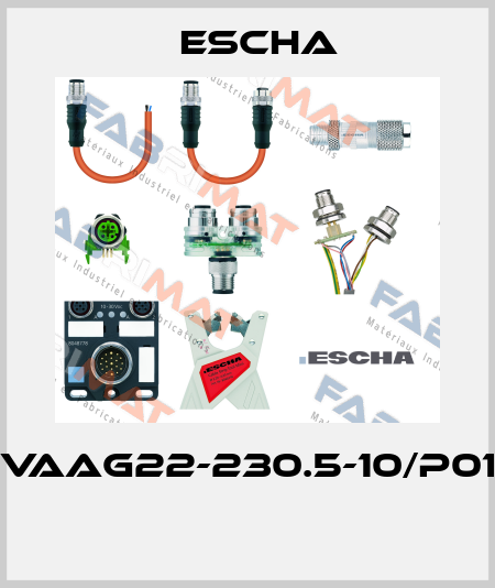 VAAG22-230.5-10/P01  Escha