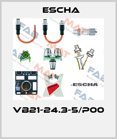 VB21-24.3-5/P00  Escha