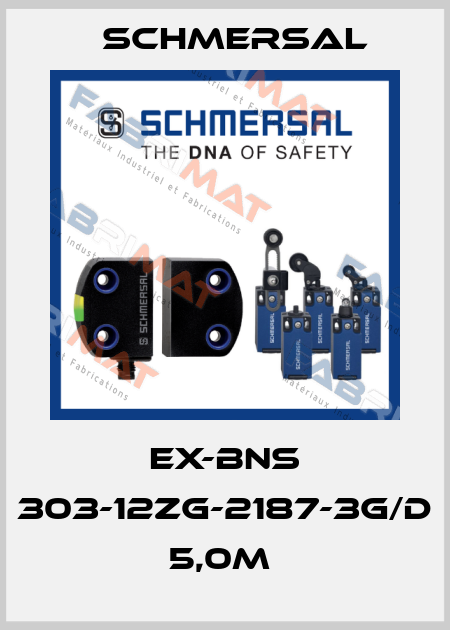 EX-BNS 303-12ZG-2187-3G/D 5,0M  Schmersal