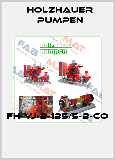 FH-VJ-2-125/5-2-CO  Holzhauer Pumpen
