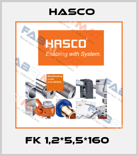 FK 1,2*5,5*160  Hasco