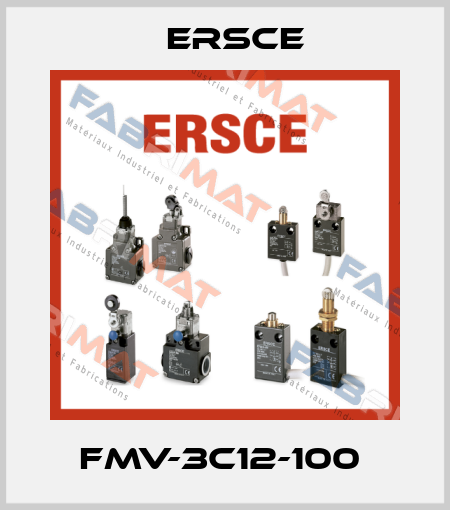 FMV-3C12-100  Ersce