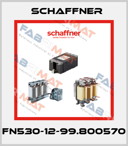 FN530-12-99.800570 Schaffner