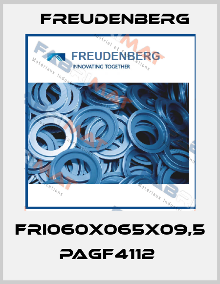 FRI060X065X09,5 PAGF4112  Freudenberg