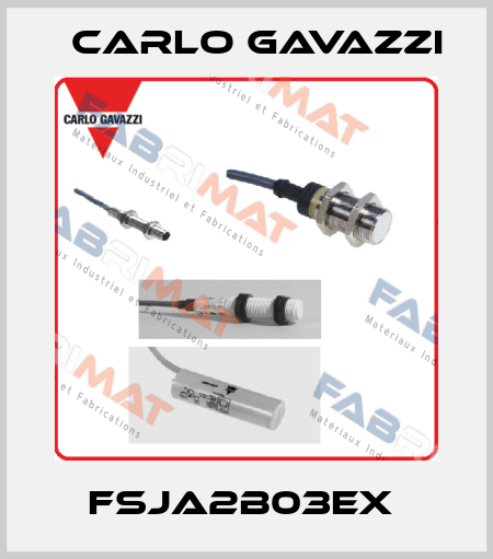 FSJA2B03EX  Carlo Gavazzi