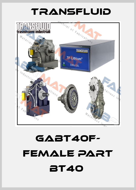 GABT40F- FEMALE PART BT40  Transfluid