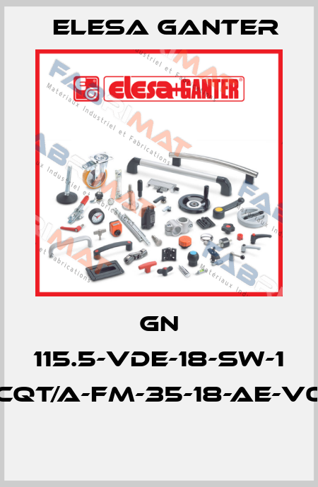 GN 115.5-VDE-18-SW-1 CQT/A-FM-35-18-AE-V0  Elesa Ganter