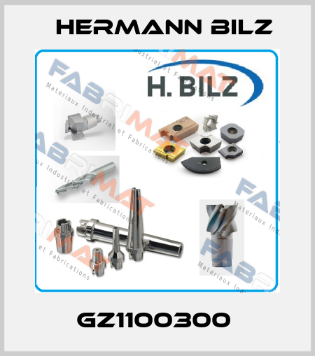 GZ1100300  Hermann Bilz