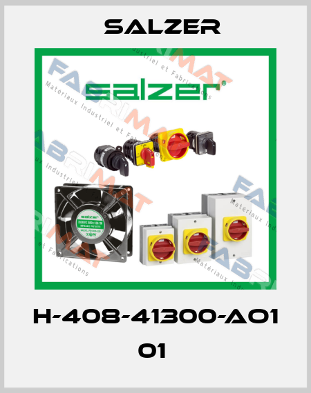 H-408-41300-AO1 01  Salzer