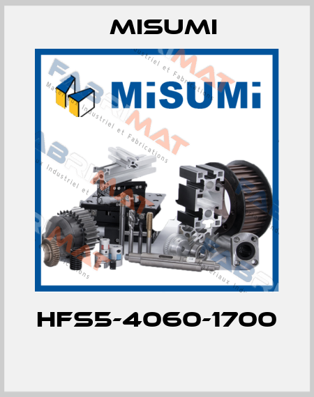 HFS5-4060-1700  Misumi
