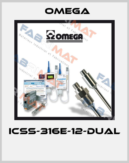 ICSS-316E-12-DUAL  Omega