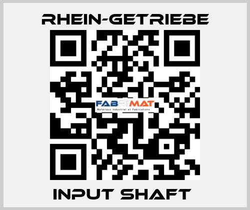 INPUT SHAFT  Rhein-Getriebe