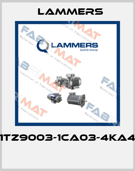 1TZ9003-1CA03-4KA4  Lammers