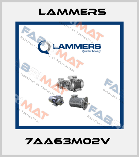 7AA63M02V  Lammers