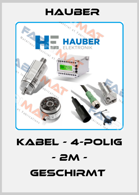 KABEL - 4-POLIG - 2M - GESCHIRMT  HAUBER