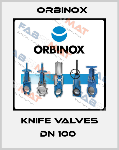 Knife Valves DN 100  Orbinox