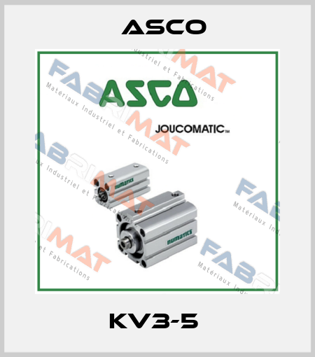 KV3-5  Asco