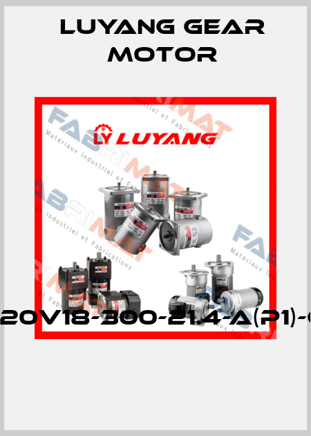 J220V18-300-21.4-A(P1)-G3  Luyang Gear Motor