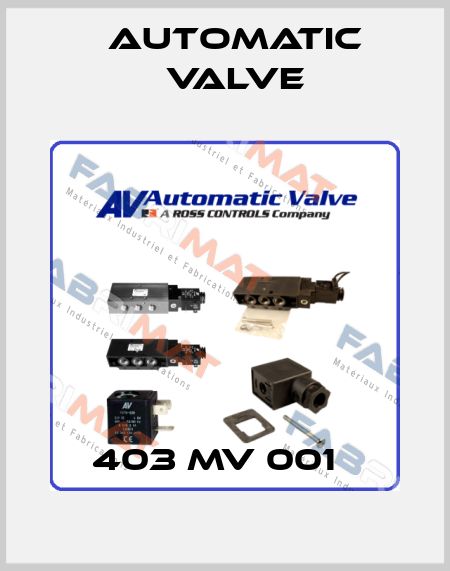 403 MV 001   Automatic Valve