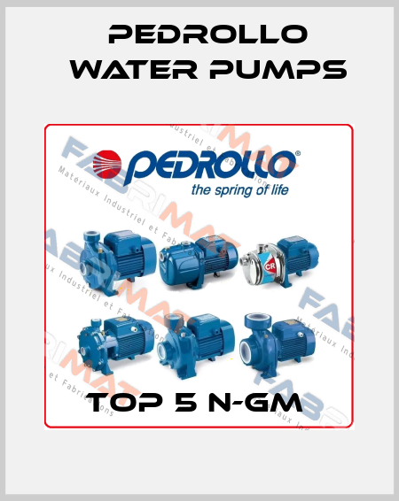 TOP 5 N-GM  Pedrollo Water Pumps