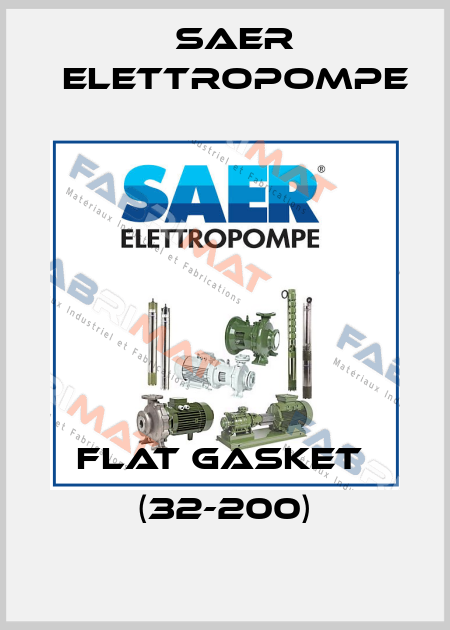 Flat gasket  (32-200) Saer Elettropompe