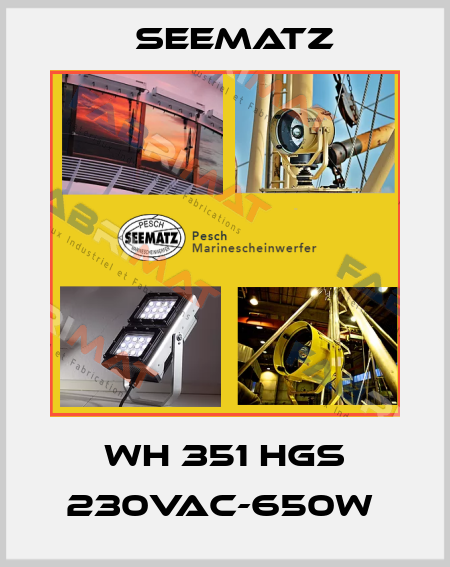 WH 351 HGS 230VAC-650W  Seematz