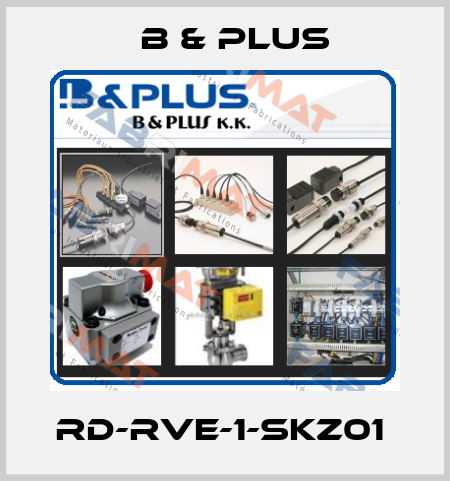 RD-RVE-1-SKZ01  B & PLUS