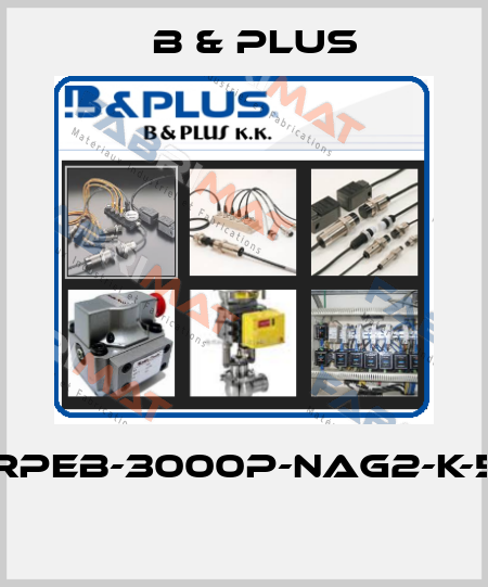 RPEB-3000P-NAG2-K-5  B & PLUS