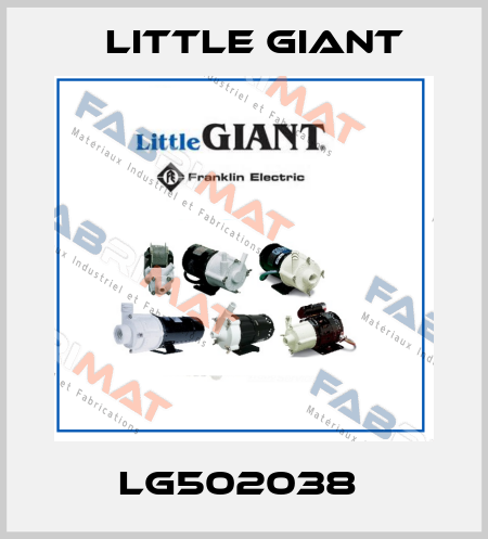 LG502038  Little Giant