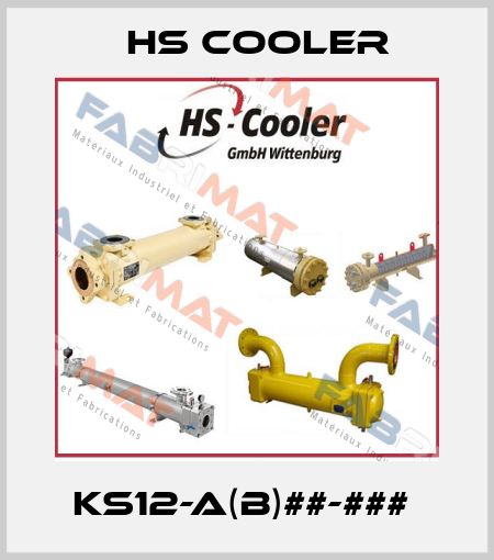 KS12-A(B)##-###  HS Cooler