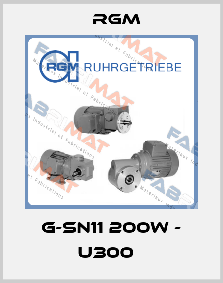 G-SN11 200W - U300   Rgm