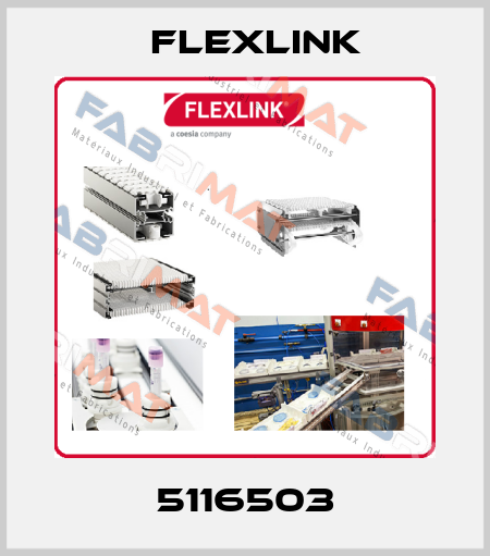 5116503 FlexLink