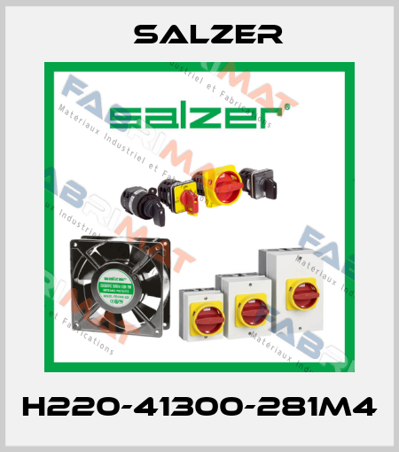 H220-41300-281M4 Salzer