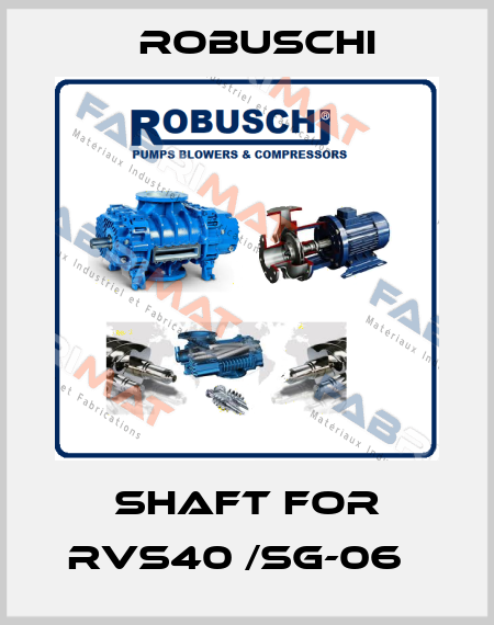 Shaft for RVS40 /SG-06   Robuschi
