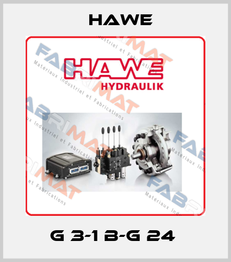 G 3-1 B-G 24  Hawe
