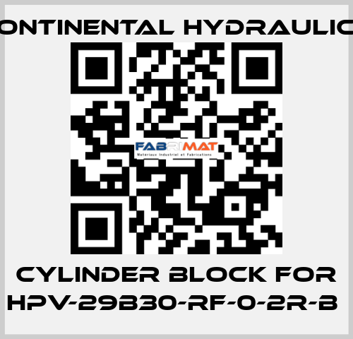 cylinder block for HPV-29B30-RF-0-2R-B  Continental Hydraulics