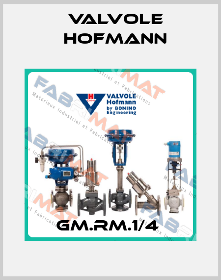GM.RM.1/4  Valvole Hofmann