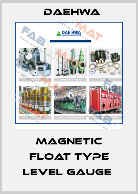 Magnetic Float Type Level Gauge  Daehwa