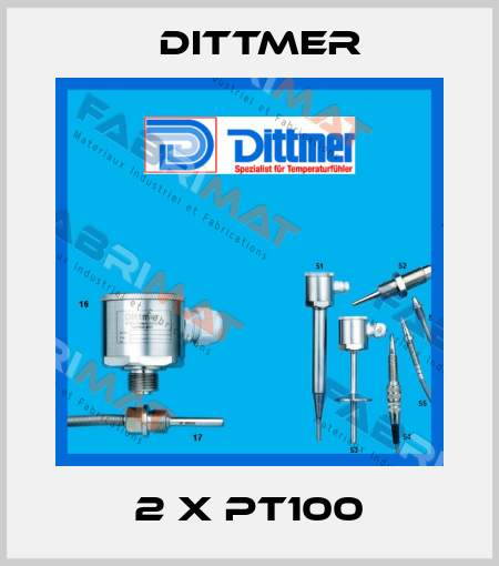 2 x PT100 Dittmer