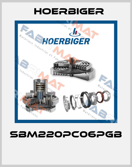 SBM220PC06PGB   Hoerbiger