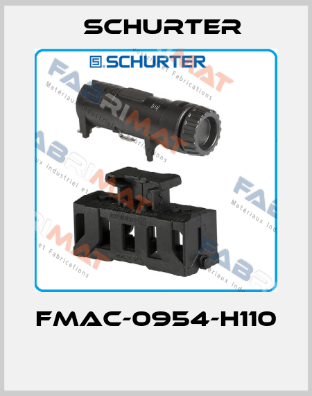 FMAC-0954-H110  Schurter