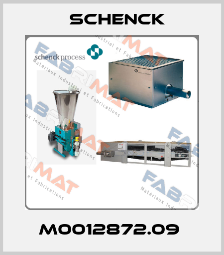 M0012872.09  Schenck
