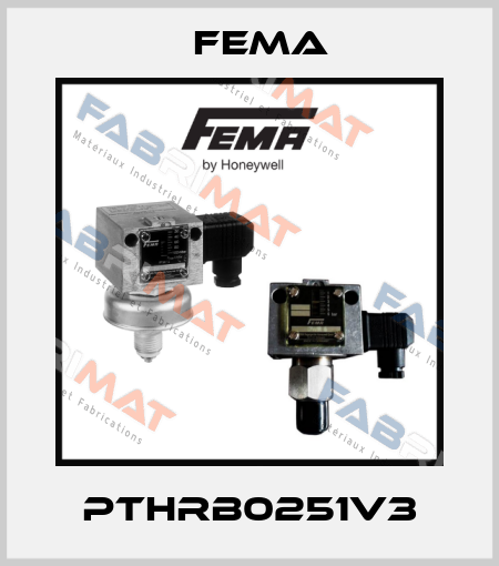 PTHRB0251V3 FEMA