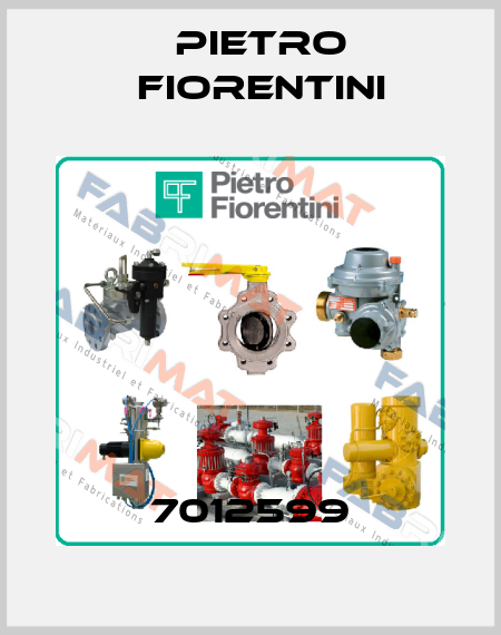 7012599 Pietro Fiorentini