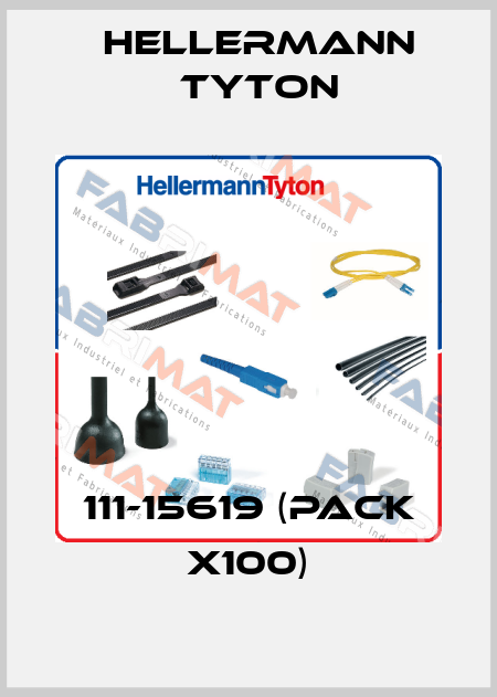 111-15619 (pack x100) Hellermann Tyton