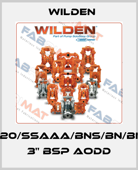 XPS1520/SSAAA/BNS/BN/BN/0014 3" BSP AODD Wilden